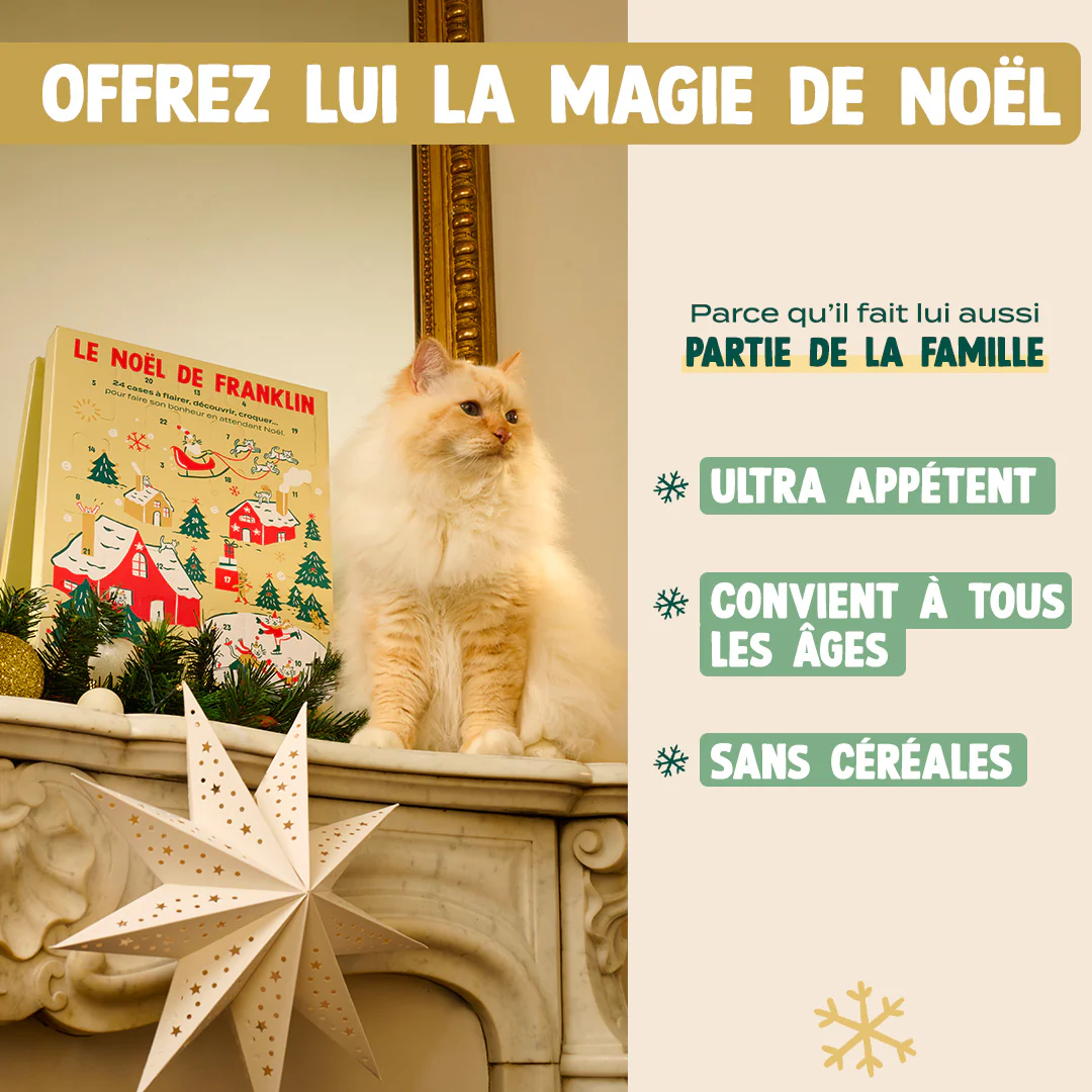 CALENDRIER DE L'AVENT CHAT - Image 4