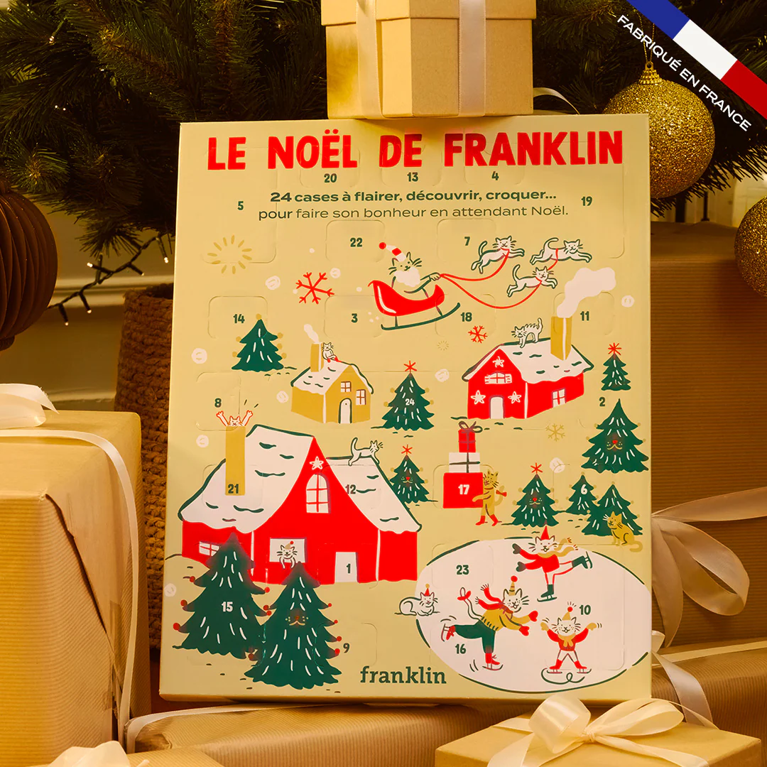 CALENDRIER DE L'AVENT CHAT - Image 5