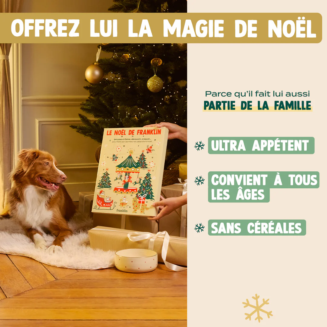 CALENDRIER DE L'AVENT CHIEN - Image 4