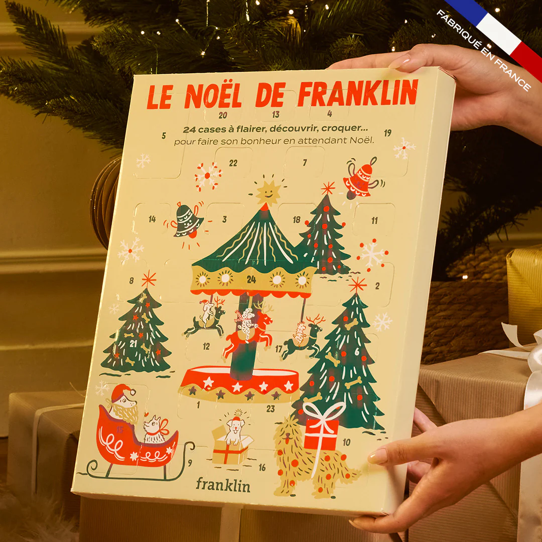 CALENDRIER DE L'AVENT CHIEN - Image 5
