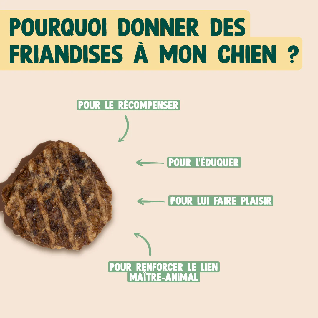 BOEUF SÉCHÉ BARBECUE - Image 4