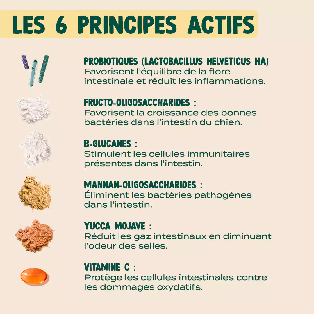 GUMMIES PROBIOTIQUES - Image 4