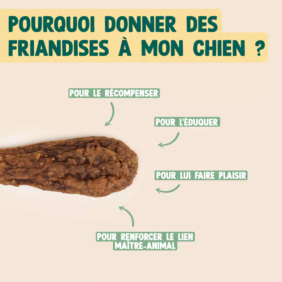 CANARD SÉCHÉ - Image 5