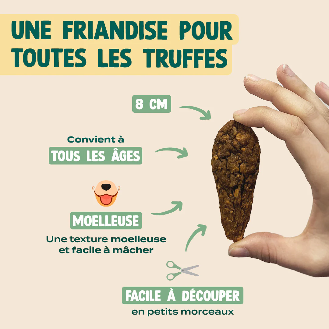 FAISAN SÉCHÉ - Image 5