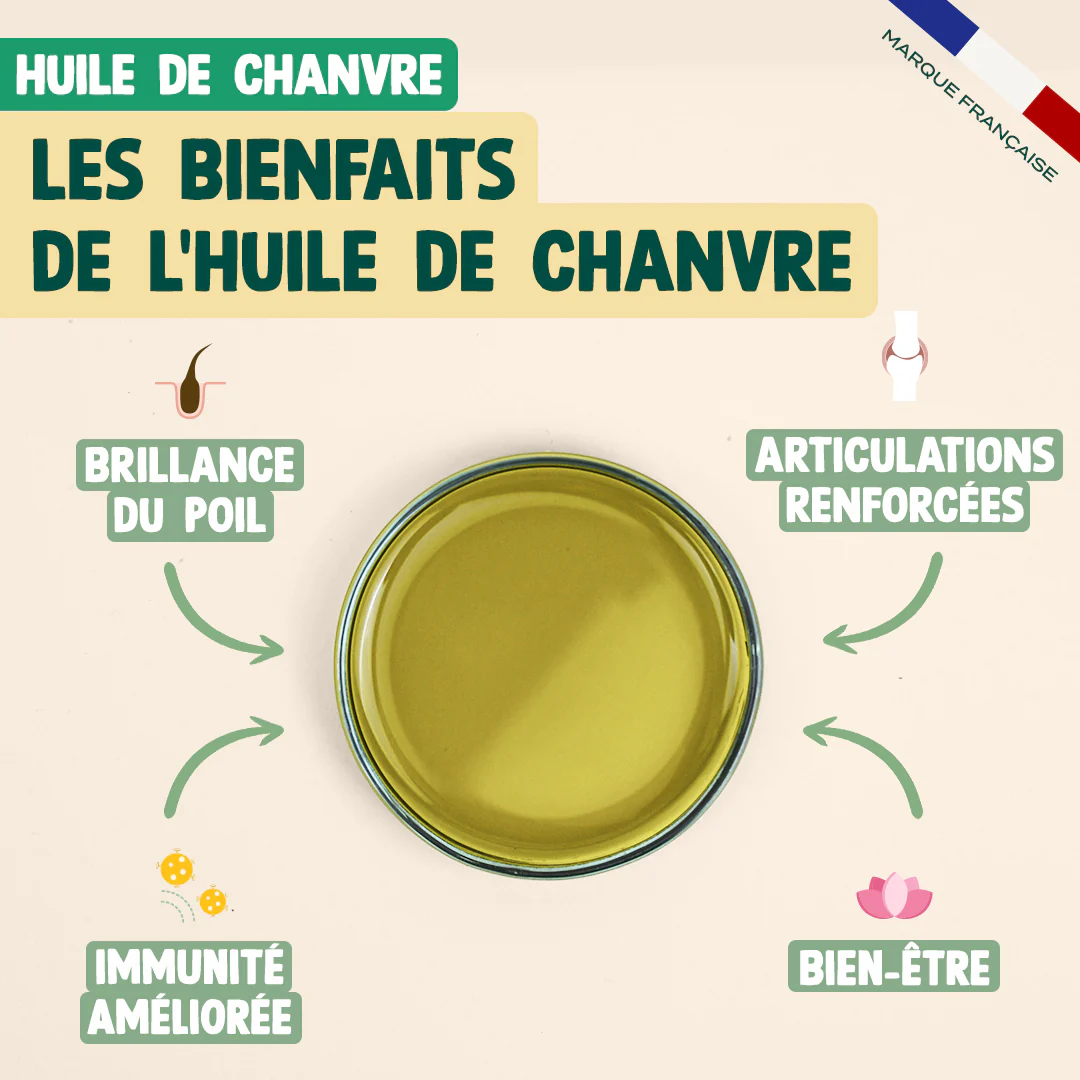 PACK ANTI-STRESS CHIEN - Image 4