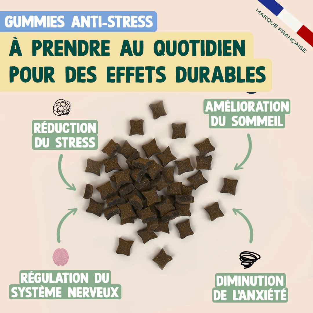 PACK ANTI-STRESS CHIEN - Image 5