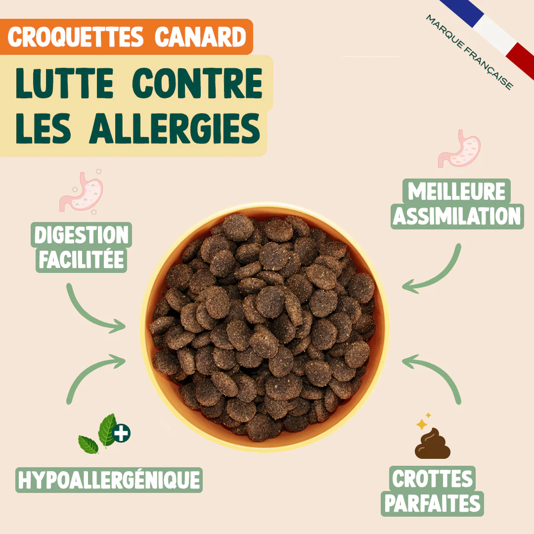 PACK CHIEN DIFFICILE - Image 3