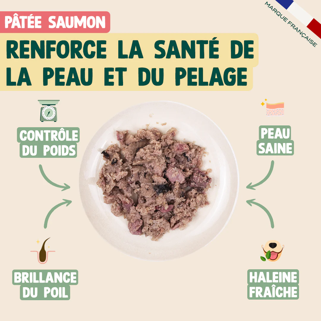 TRIO 3 SAVEURS PÂTÉES - Image 10