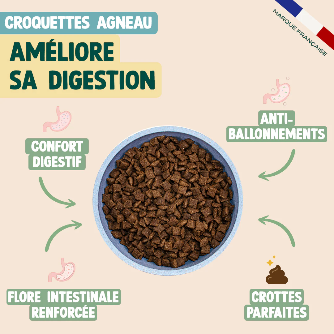 PACK DIGESTION CHAT - Image 3