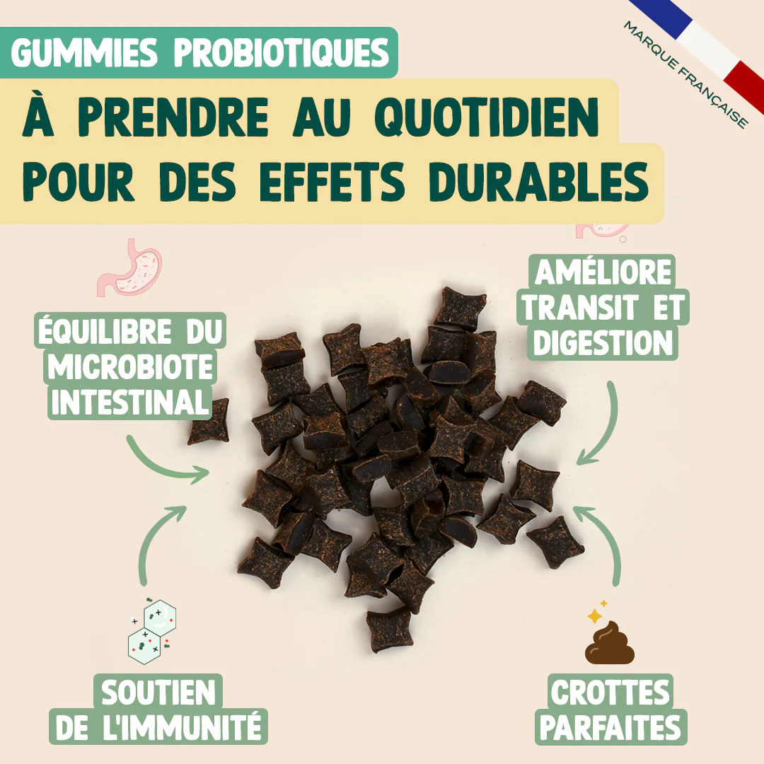 PACK DIGESTION CHIEN - Image 5