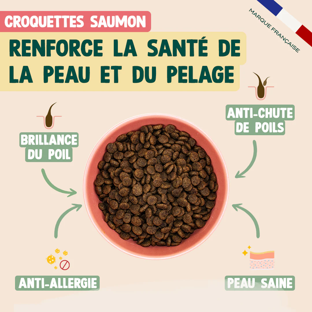PACK ANTI-ALLERGIE CHAT - Image 3