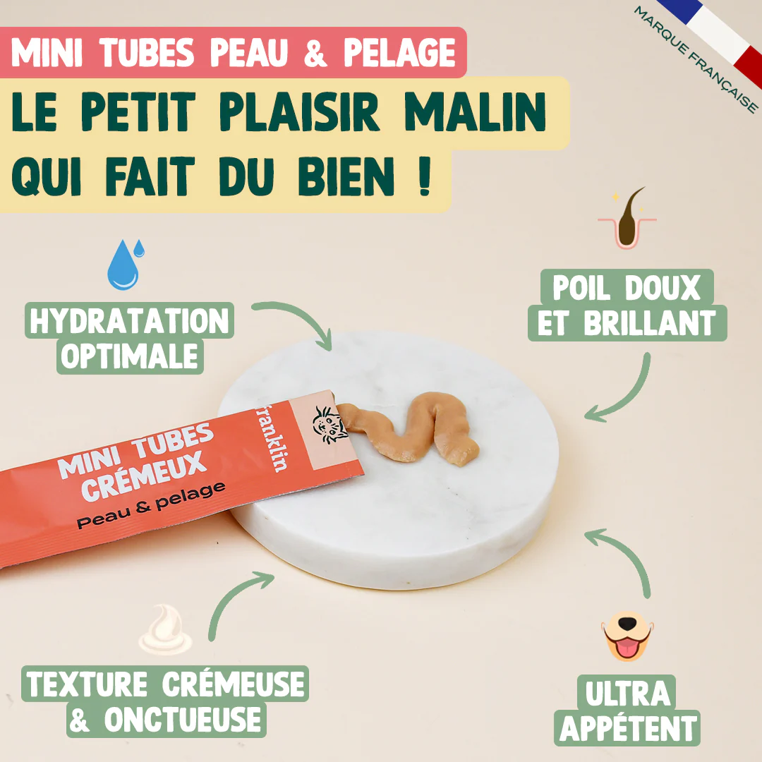 PACK ANTI-ALLERGIE CHAT - Image 5