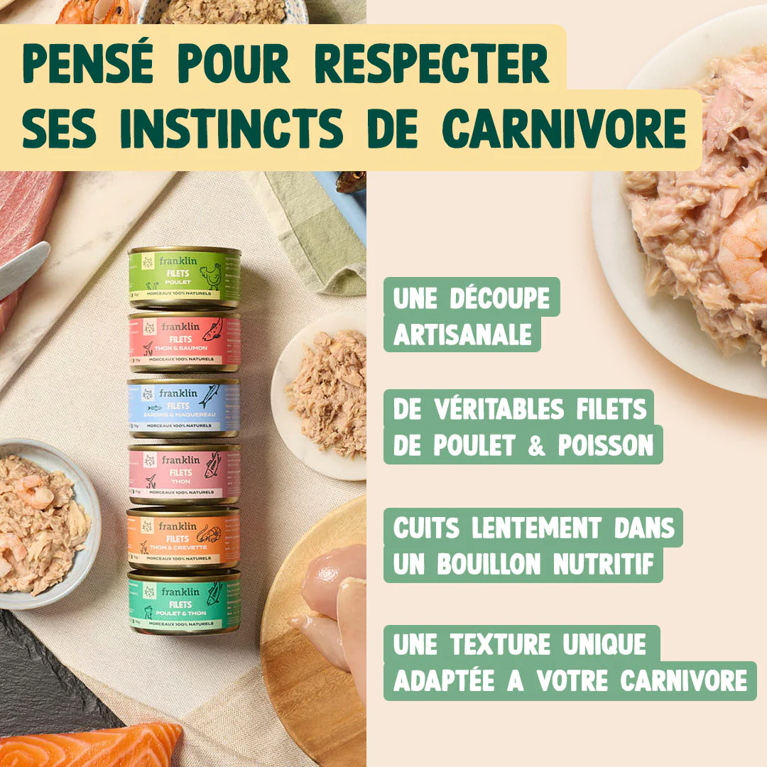 PACK ANTI-ALLERGIE CHAT - Image 4