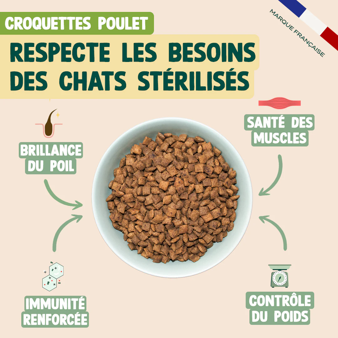 PACK SURPOIDS CHAT - Image 3