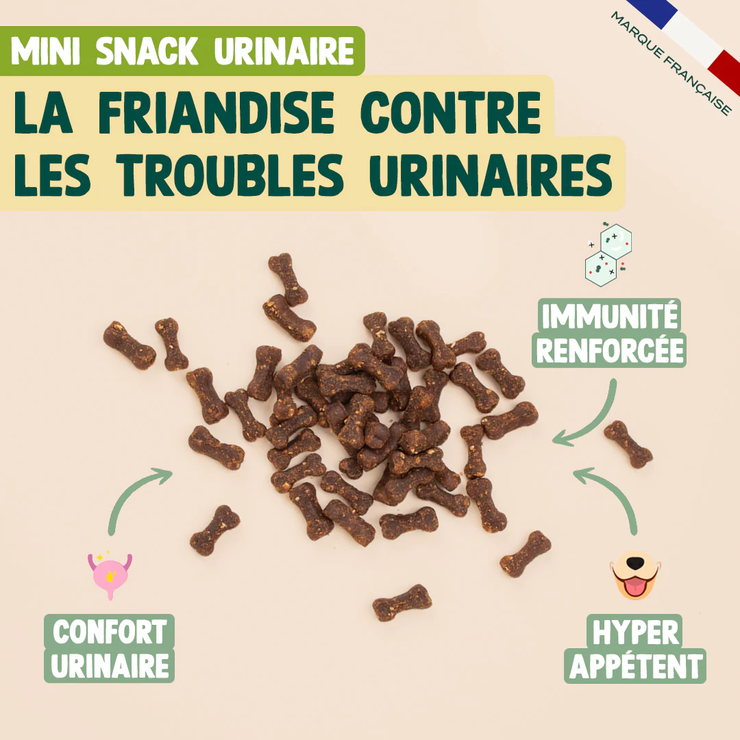 PACK TROUBLES URINAIRES CHAT - Image 5