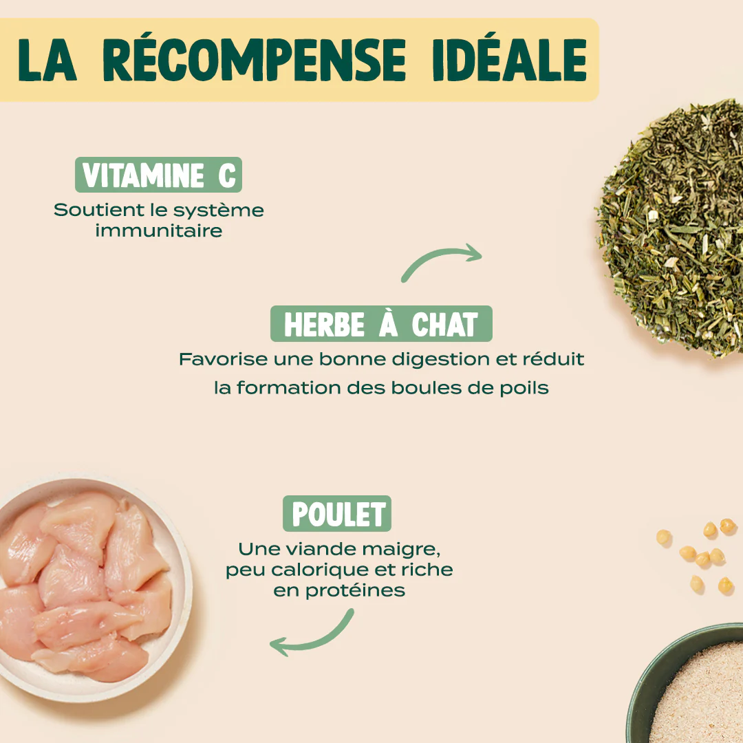 MINI BOUCHÉES - POULET, HERBE À CHAT - Image 3