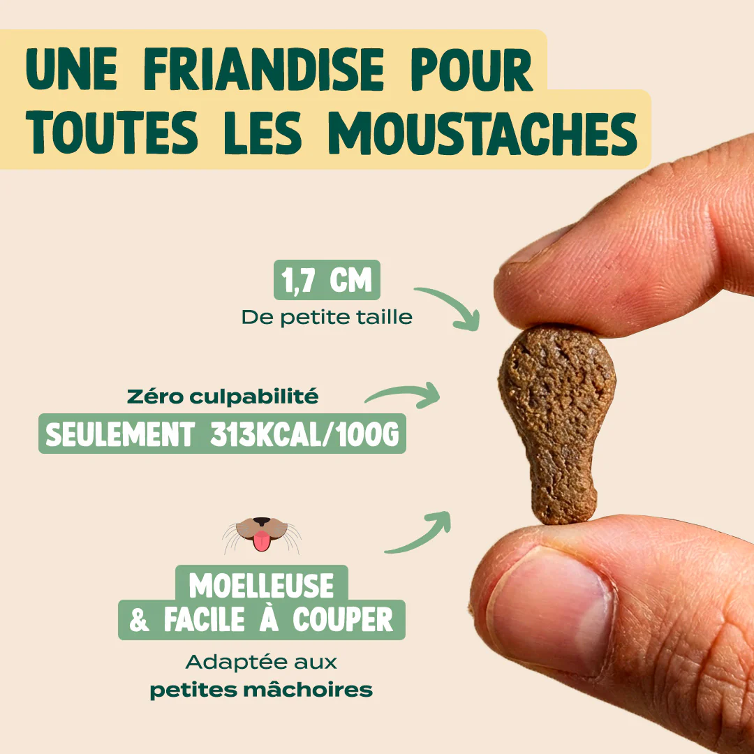 MINI BOUCHÉES - POULET, HERBE À CHAT - Image 4