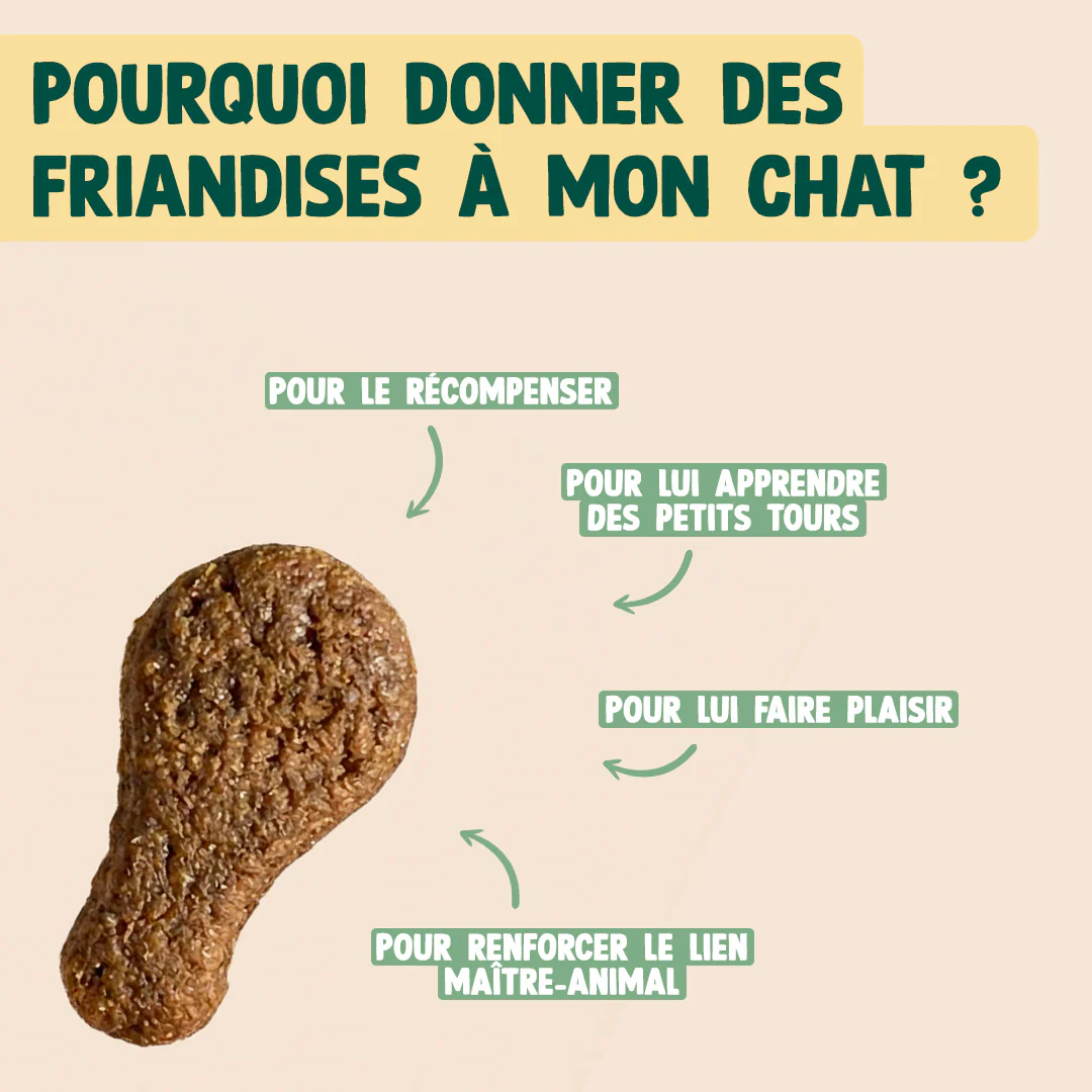 MINI BOUCHÉES - POULET, HERBE À CHAT - Image 5