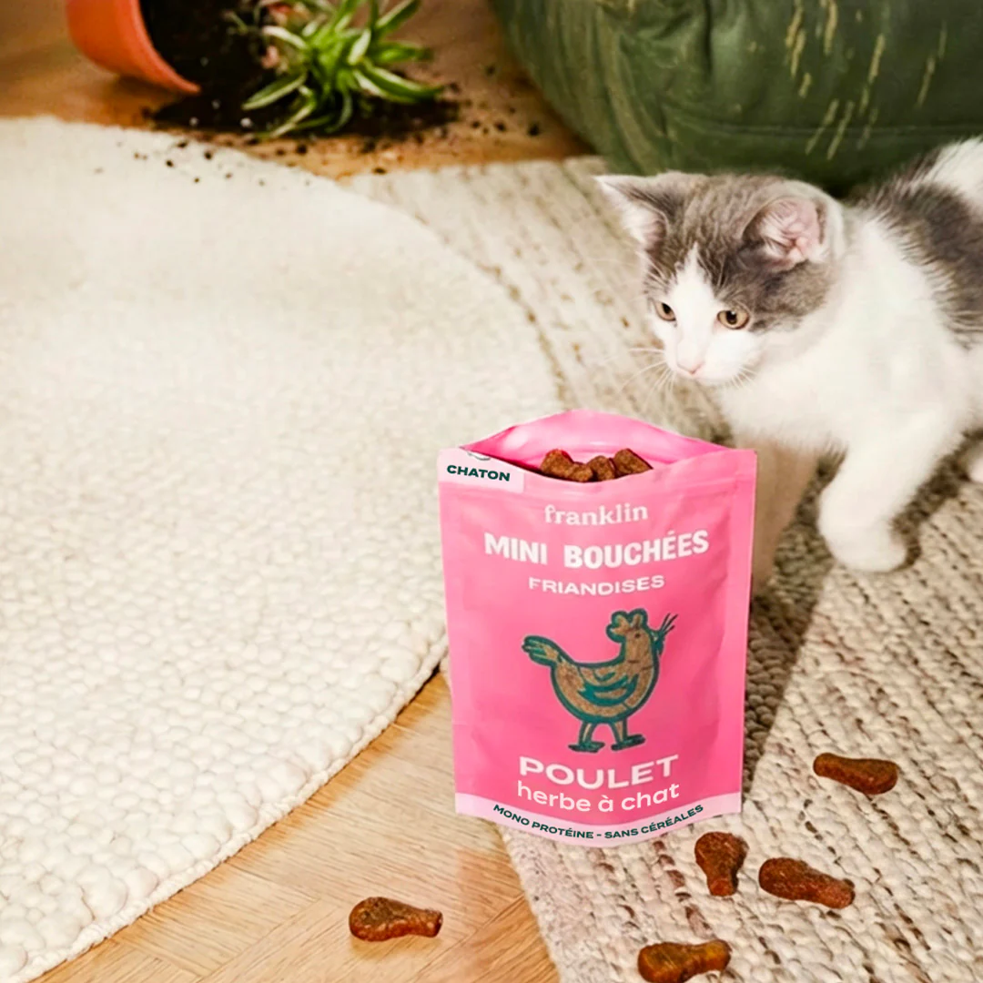 MINI BOUCHÉES - POULET, HERBE À CHAT - Image 7