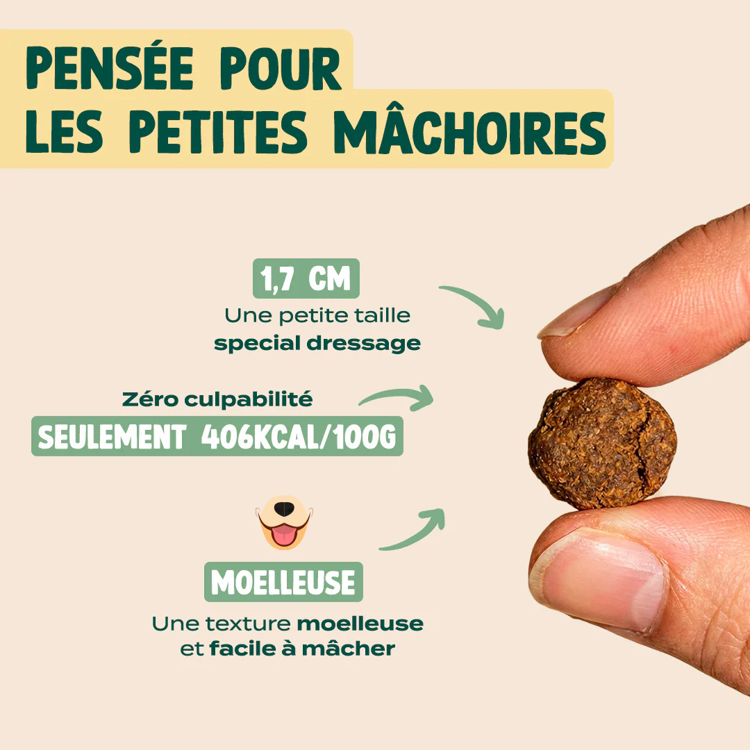 MINI VIANDE SÉCHÉE - BOEUF, ROMARIN - Image 4
