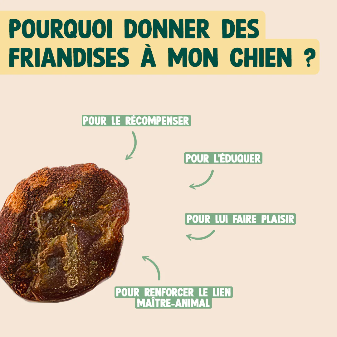 MINI VIANDE SÉCHÉE - BOEUF, ROMARIN - Image 5