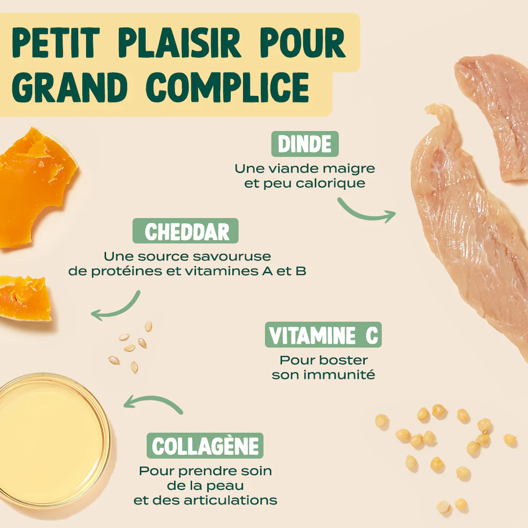 NOËL GOURMAND - DINDE, CHEDDAR - Image 4