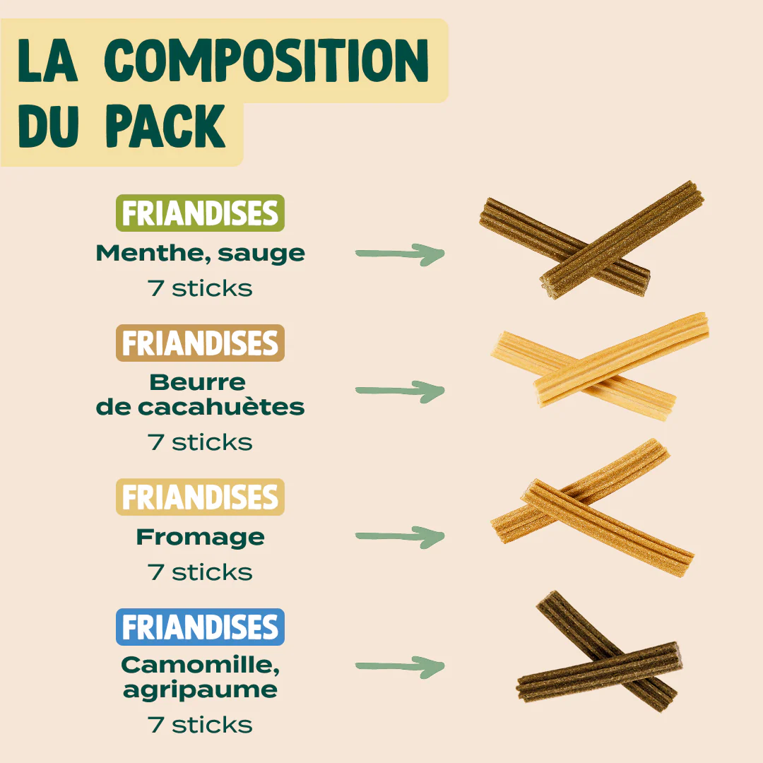 PACK STICKS DENTAIRES - Image 2
