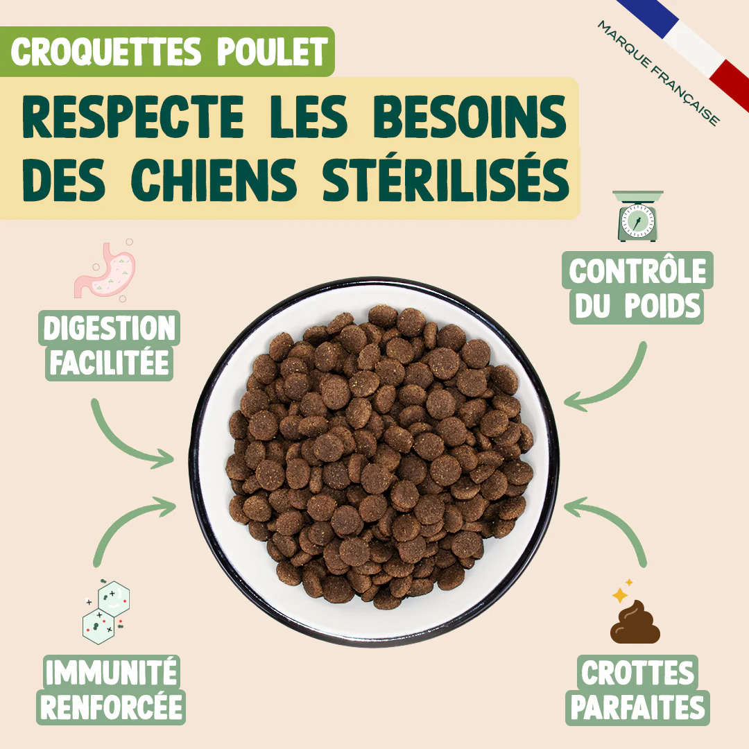 PACK CHIEN STÉRILISÉ - Image 3