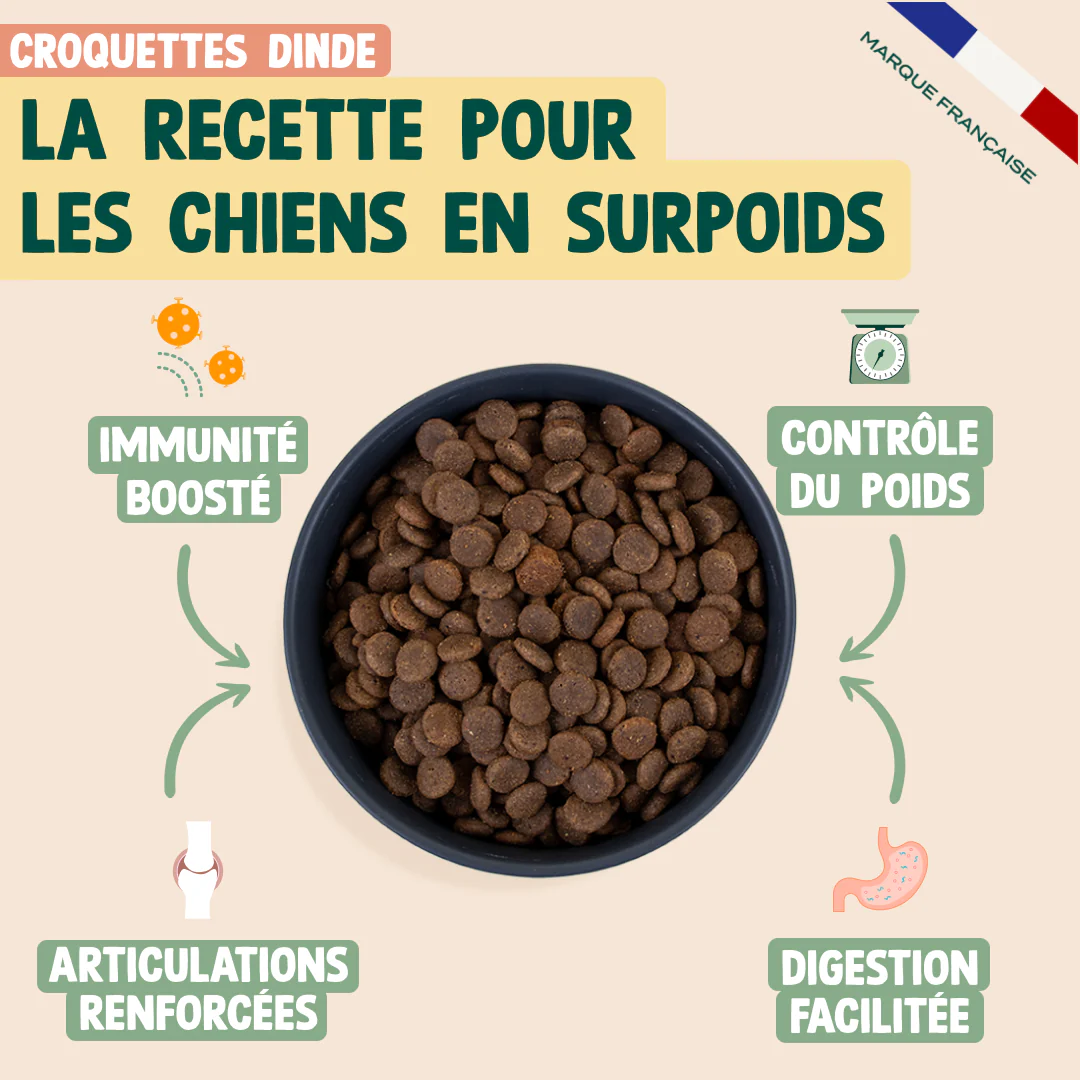 PACK SURPOIDS CHIEN - Image 3