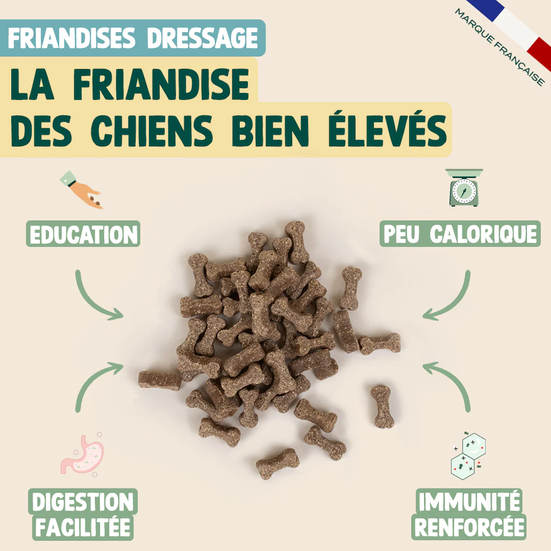PACK SURPOIDS CHIEN - Image 4