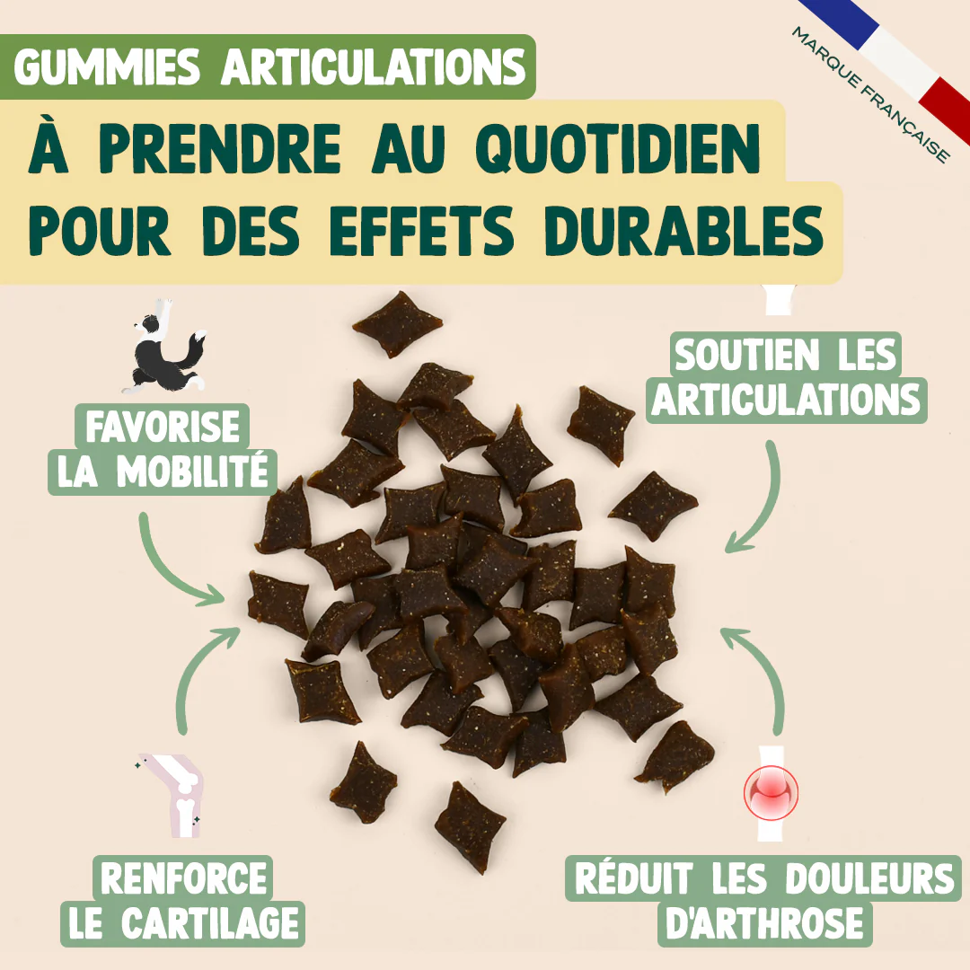 PACK SURPOIDS CHIEN - Image 5