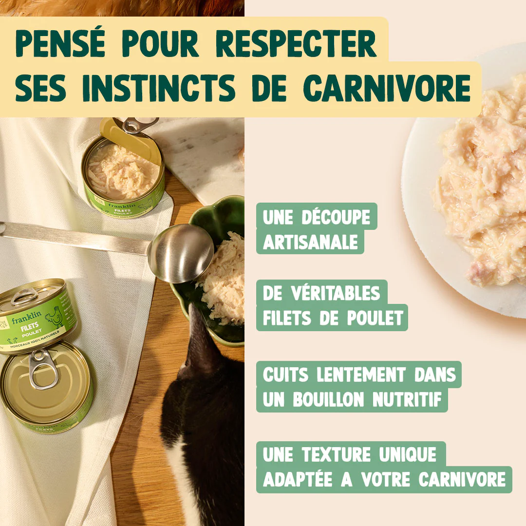 POULET - Image 4