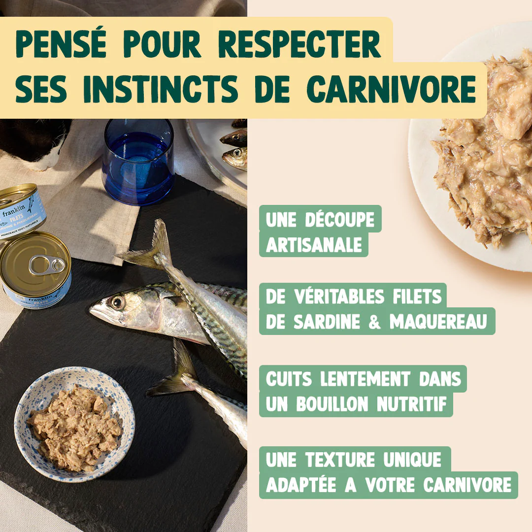SARDINE & MAQUEREAU - Image 4