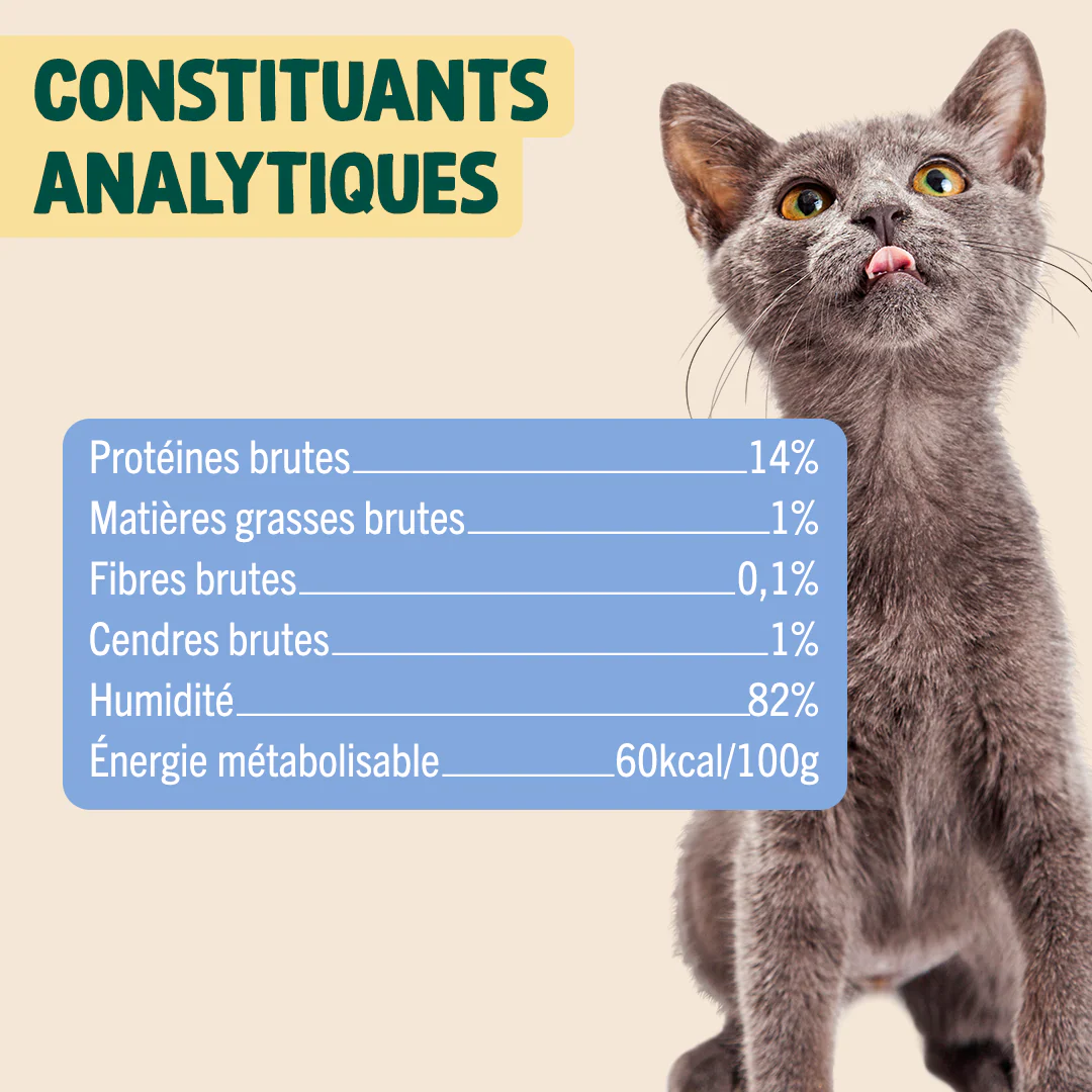 SARDINE & MAQUEREAU - Image 5