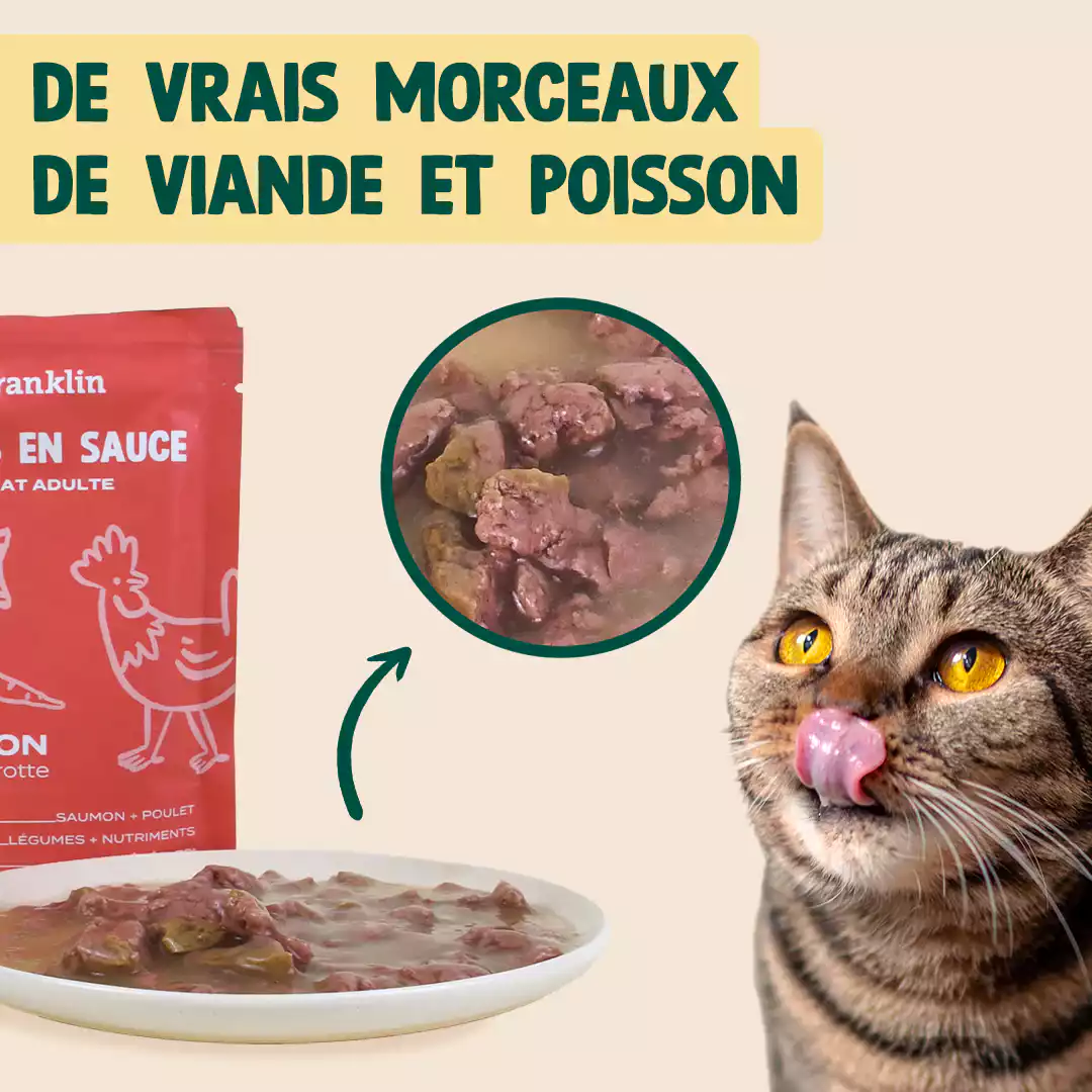 SAUMON, POULET, CAROTTE - Image 4