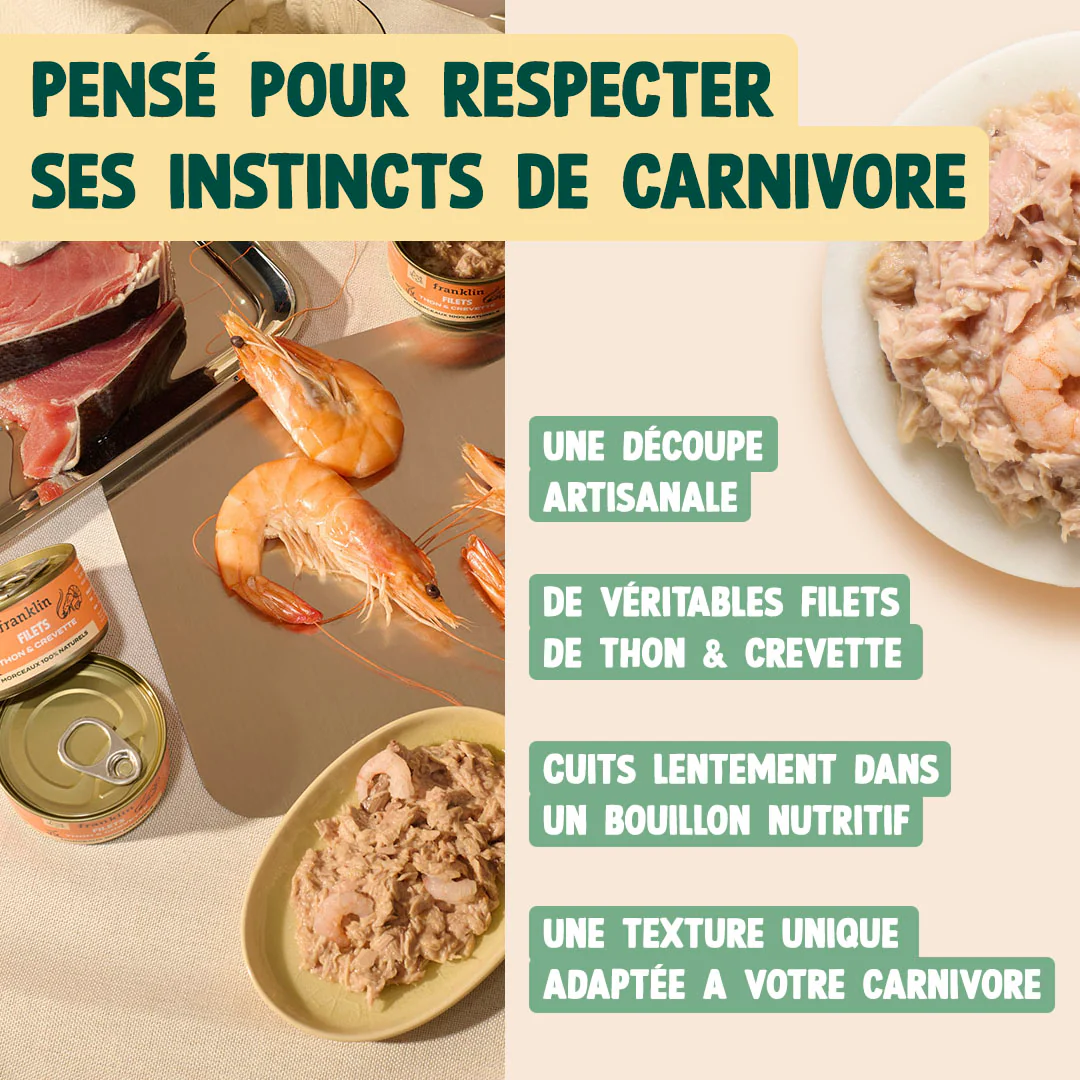 THON & CREVETTE - Image 4