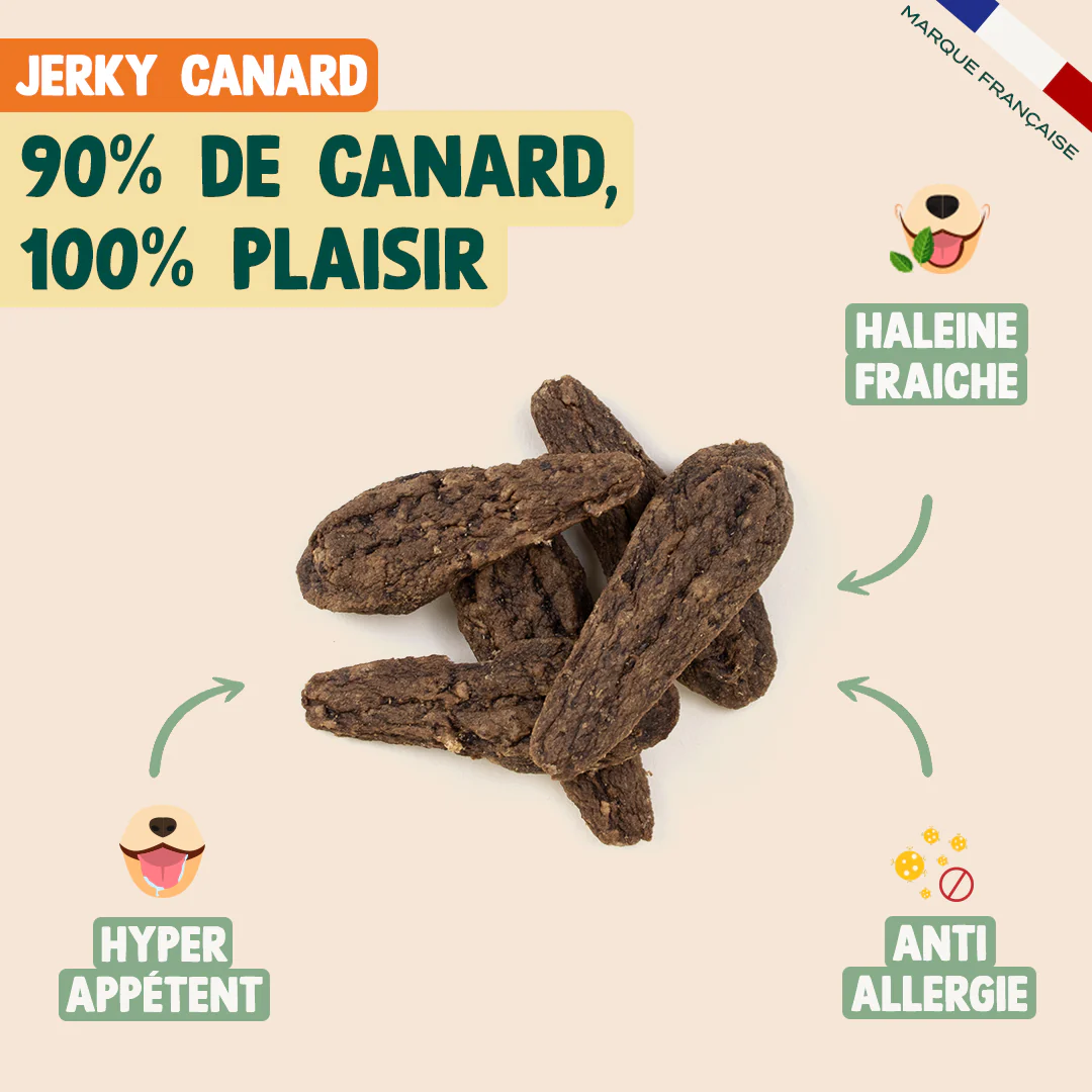 PACK ANTI-ALLERGIE CHIEN - Image 5