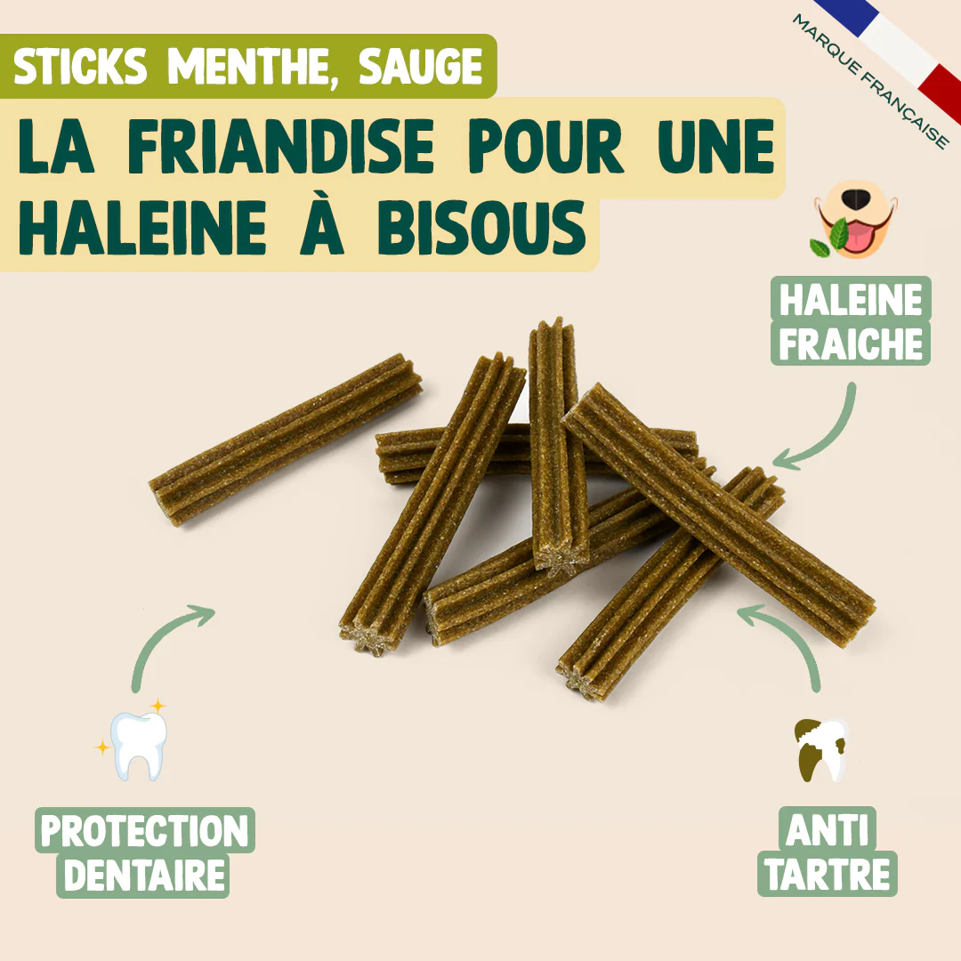 PACK DENTAIRE CHIEN - Image 4