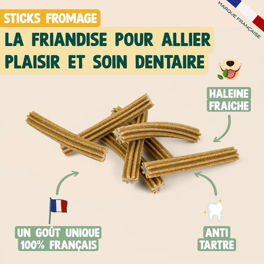 PACK STICKS DENTAIRES - Image 5